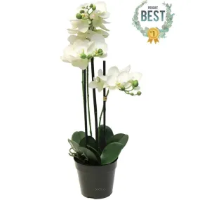 Orchidée phalaenopsis factice pot 3 hampes de qualité h60cm crème-best